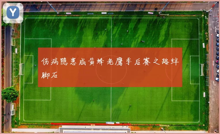 伤病隐患成黄蜂老鹰季后赛之路绊脚石