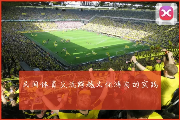 民间体育交流跨越文化鸿沟的实践