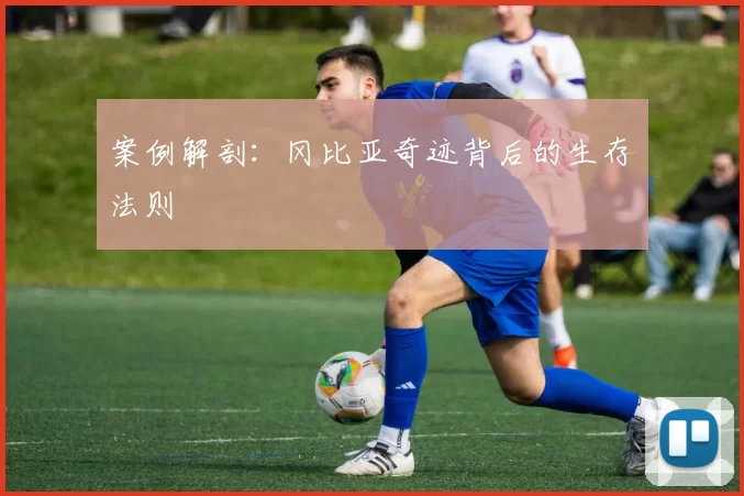 案例解剖：冈比亚奇迹背后的生存法则
